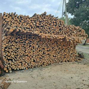 Mirunda